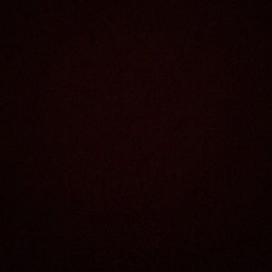 Meet your Posher, Daniela